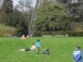 parkspel 7